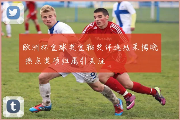 欧洲杯金球奖金靴奖评选结果揭晓 热点奖项归属引关注