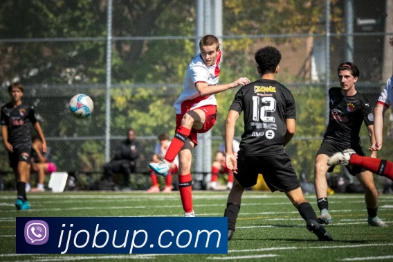 多媒体互动体验